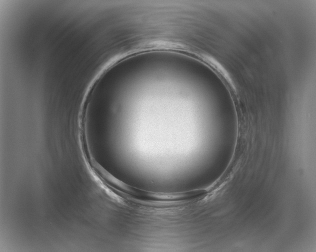 X0000071351381200606301641