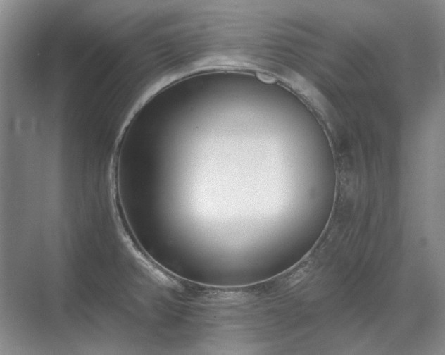 X0000071351382200606301641