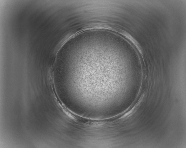 X0000071351385200606301641