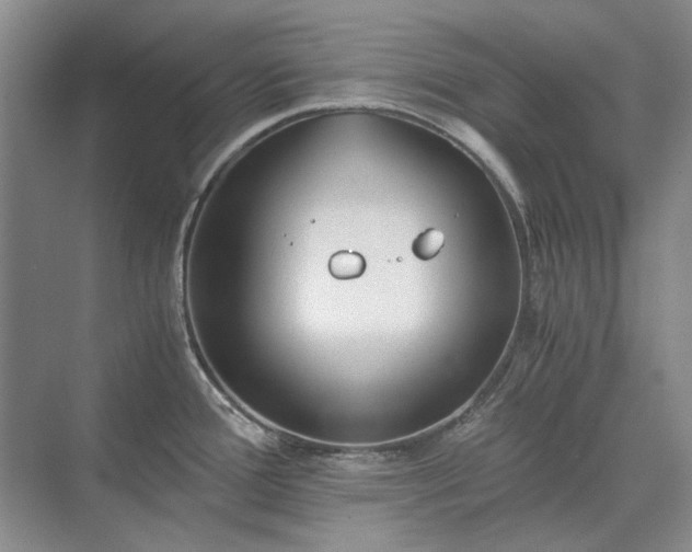 X0000071351388200606301641