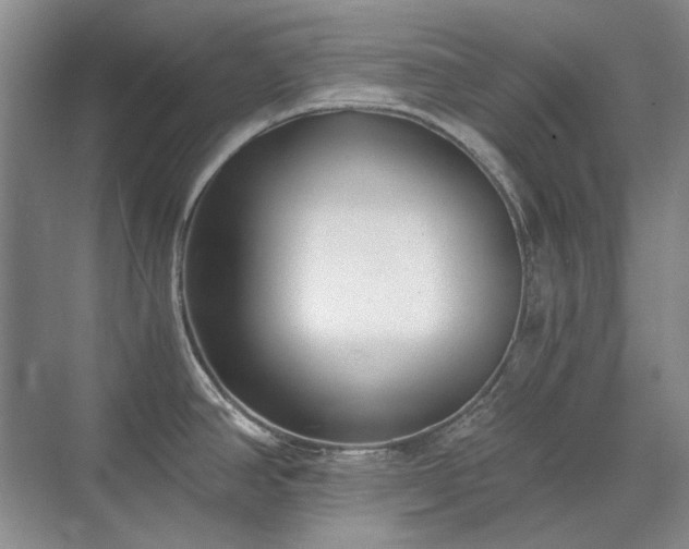 X0000071351390200606301641