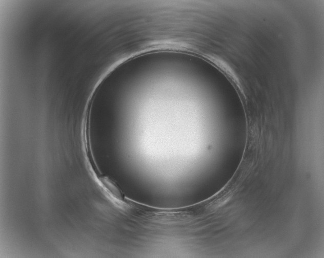 X0000071351391200606301641