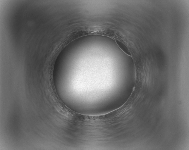 X0000071351393200606301640