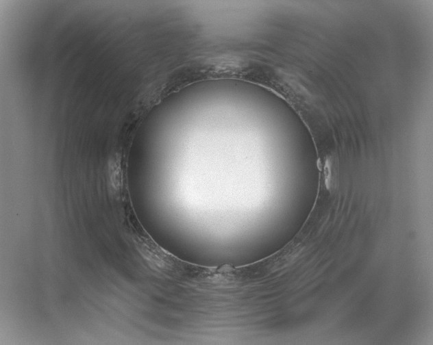 X0000071351395200606301640