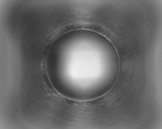 X0000071351397200606301640