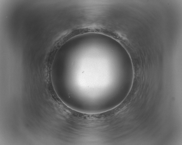 X0000071351398200606301640