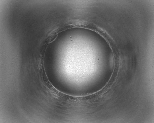 X0000071351399200606301640