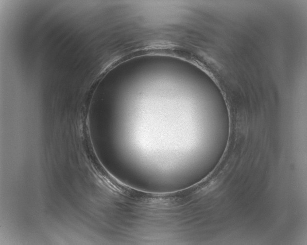 X0000071351401200606301640