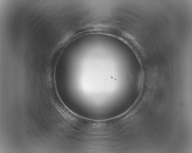 X0000071351403200606301640