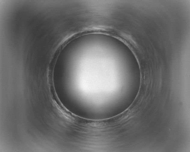 X0000071351404200606301640