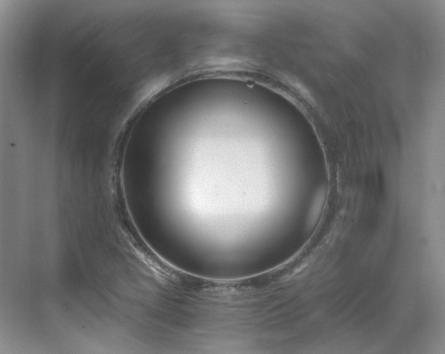 X0000071351405200606301640