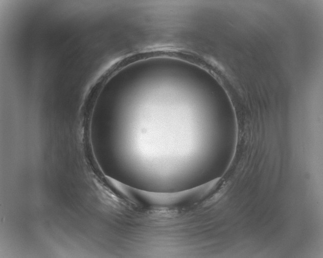 X0000071351406200606301640