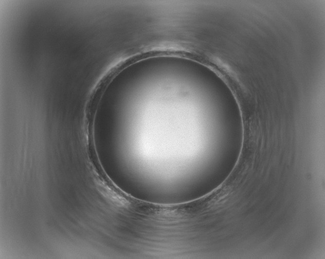 X0000071351408200606301640