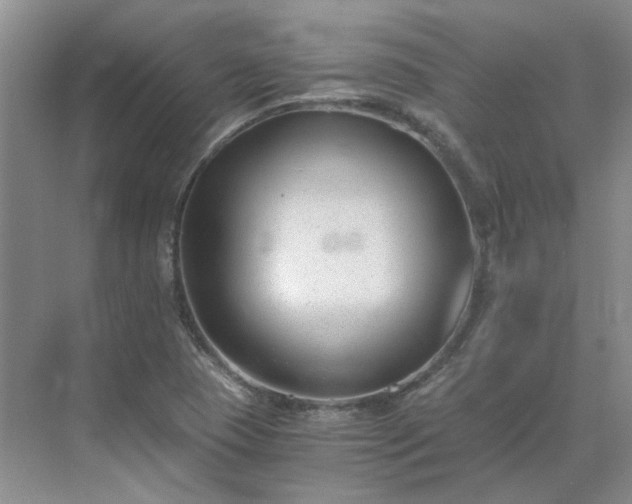 X0000071351409200606301640