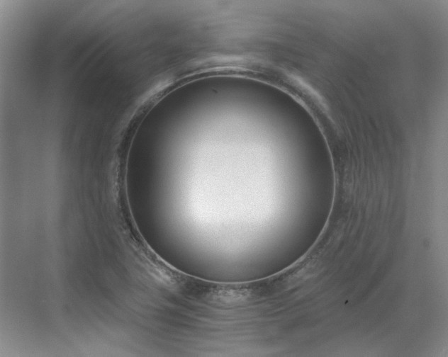 X0000071351411200606301640