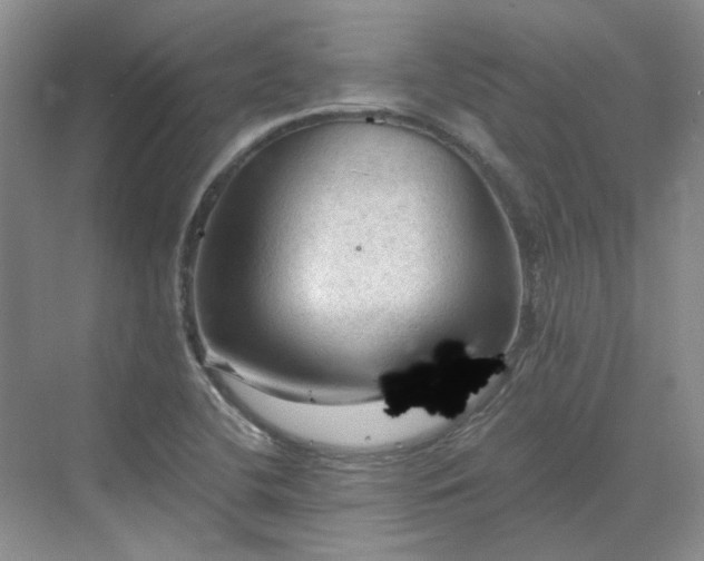 X0000071351412200606301640