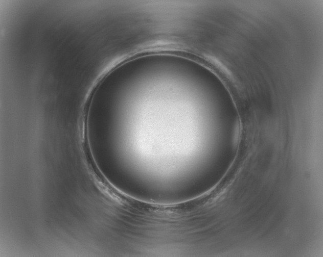 X0000071351413200606301640