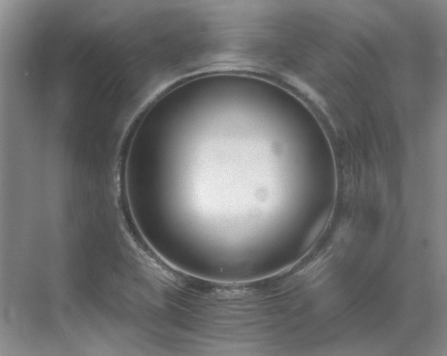 X0000071351415200606301640