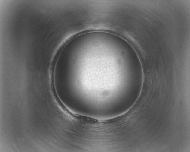 X0000071351416200606301640