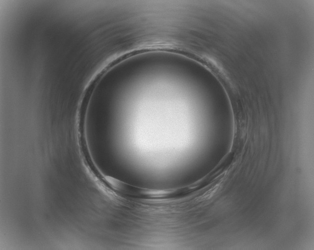 X0000071351422200606301640