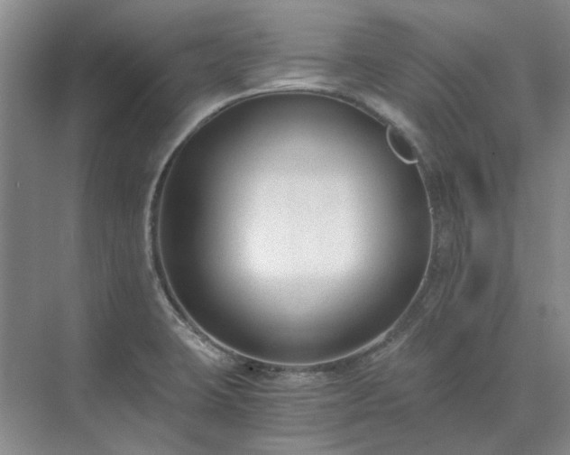 X0000071351423200606301640