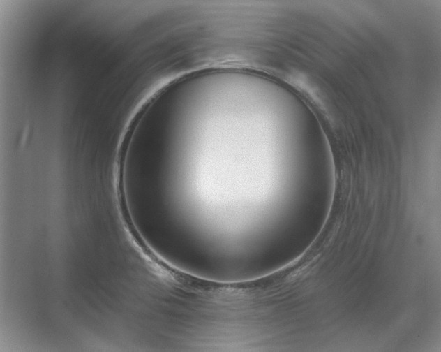 X0000071351424200606301641