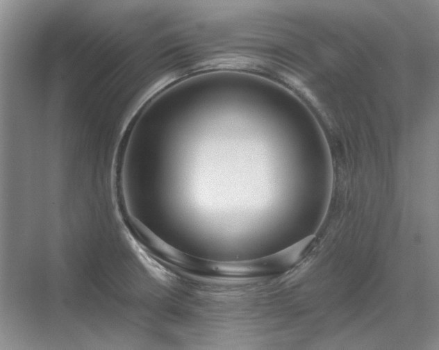 X0000071351426200606301641