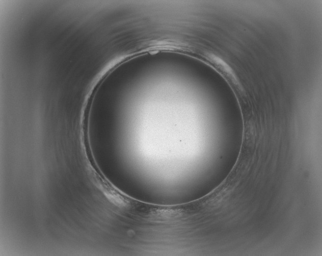 X0000071351427200606301641