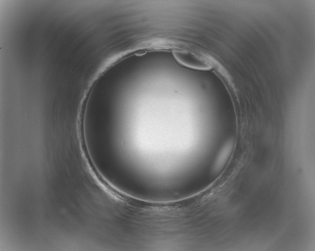 X0000071351429200606301641