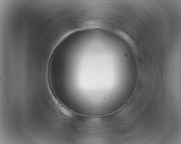 X0000071351431200606301641