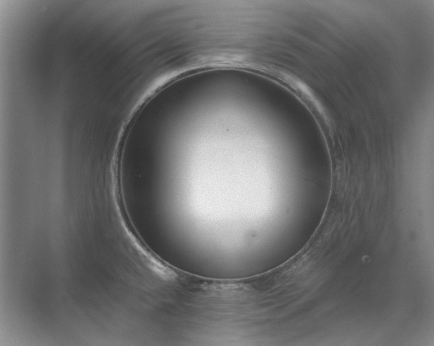 X0000071351432200606301641