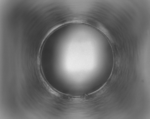 X0000071351436200606301641