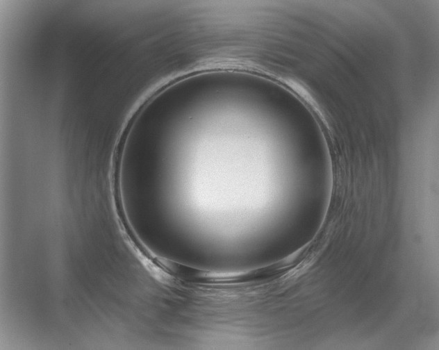 X0000071351438200606301641