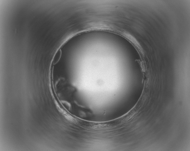 X0000071351439200606301641