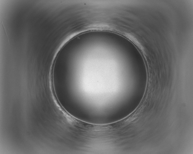 X0000071351440200606301641