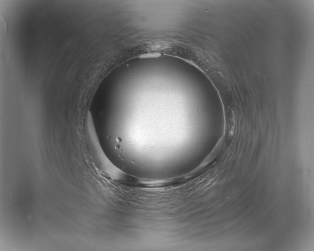 X0000071351441200606301640