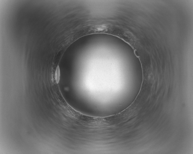 X0000071351442200606301640