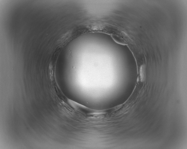 X0000071351443200606301640