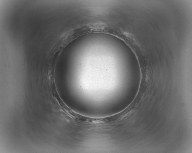 X0000071351445200606301640