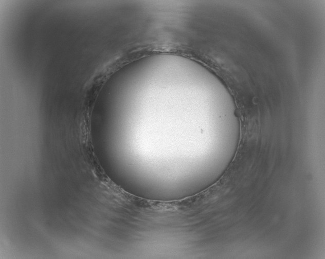 X0000071351446200606301640