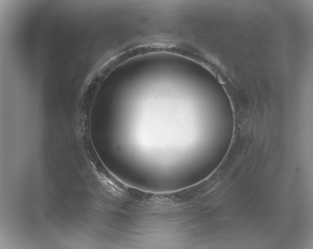 X0000071351448200606301640