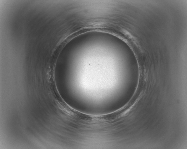 X0000071351449200606301640