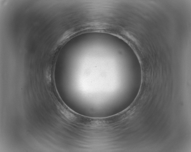 X0000071351451200606301640