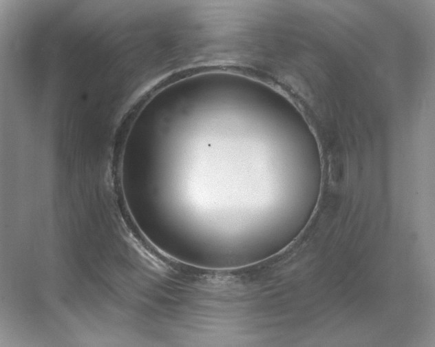 X0000071351452200606301640