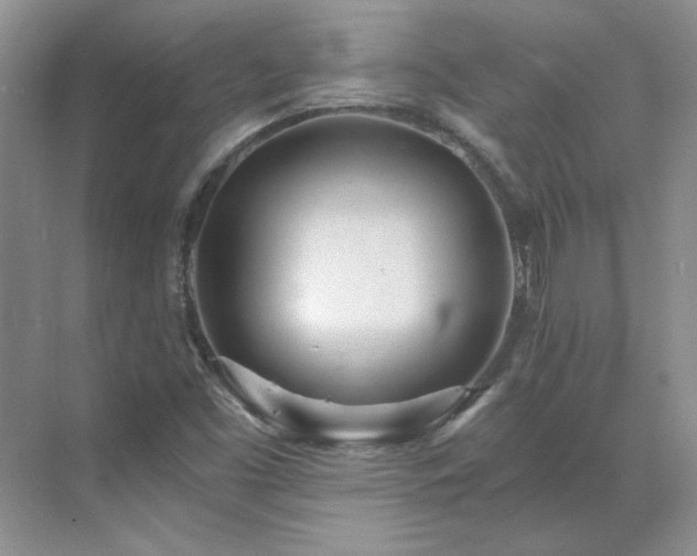 X0000071351453200606301640