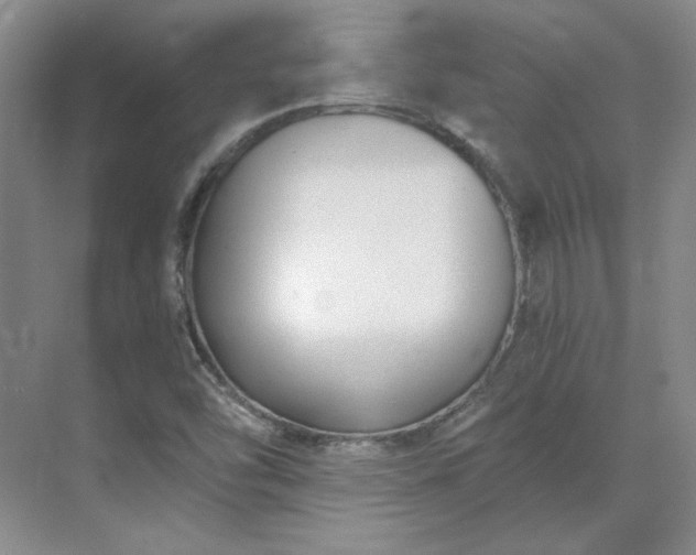 X0000071351454200606301640