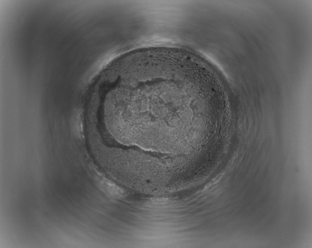 X0000071351455200606301640