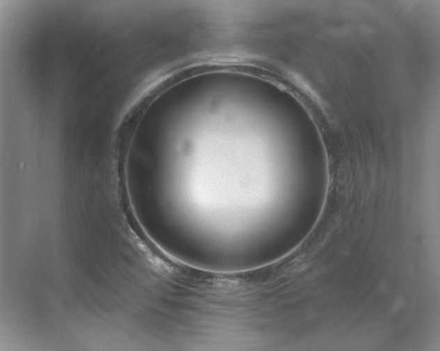 X0000071351456200606301640