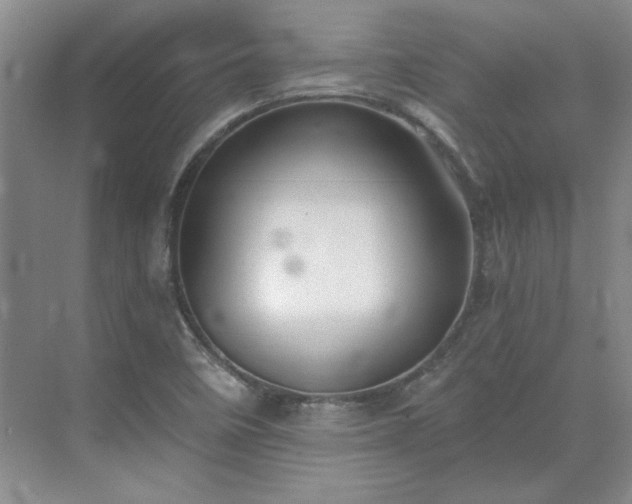 X0000071351458200606301640