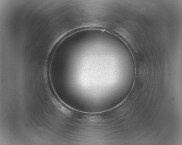 X0000071351460200606301640